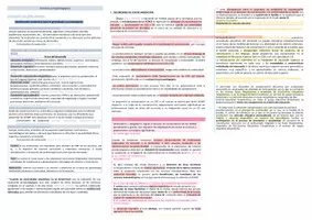 Vista previa - Para docentes: organización, planificación y formación - Oposiciones Pedagogía Terapéutica: esquema tema 3 - página 2