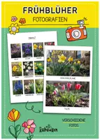 Vorschau - Präsentationen/Tafelbilder - Frühblüher Fotos 🪻🌱🌼 Tafelmaterial - Deckblatt