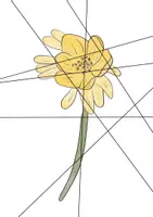 Vorschau - Spiele - Bildpuzzle Frühblüher & Frühlingsblumen - Seite 1