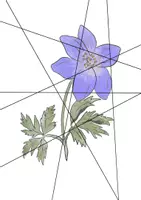 Vorschau - Spiele - Bildpuzzle Frühblüher & Frühlingsblumen - Seite 2