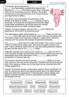 Vorschau - Arbeitsblätter - Axolotl - Cloze with solution - Animals (English) - Seite 1
