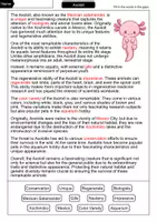 Vorschau - Arbeitsblätter - Axolotl - Cloze with solution - Animals (English) - Seite 2
