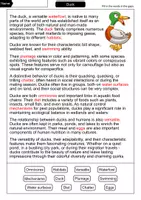 Vorschau - Arbeitsblätter - Duck - Cloze with solution - Animals (English) - Seite 2