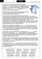 Vorschau - Arbeitsblätter - Shark - 3 for 2 economy package - Material package (English) - Seite 2