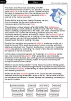 Vorschau - Arbeitsblätter - Shark - 3 for 2 economy package - Material package (English) - Seite 3