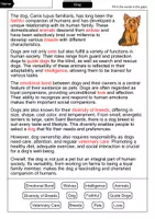 Vorschau - Arbeitsblätter - Dog - Cloze with solution - Animals (English) - Seite 2