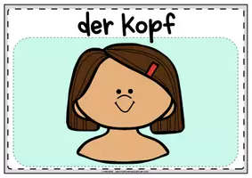 Vorschau - Präsentationen/Tafelbilder - Tafelmaterial Körper & Sinne | Tafelbilder - Seite 2