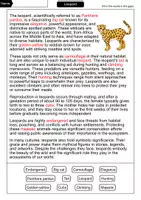 Vorschau - Arbeitsblätter - Leopard - Cloze with solution - Animals (English) - Seite 2