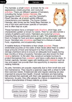 Vorschau - Arbeitsblätter - Hamster - Cloze with solution - Animals (English) - Seite 2