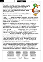 Vorschau - Arbeitsblätter - Duck - Cloze with solution - Animals (English) - Seite 1