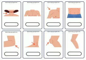 anteprima - Flashcard - IL CORPO UMANO - Pagina 3