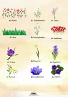 Vorschau - Arbeitsblätter - Der Frühling- Wortschatz und Arbeitsblätter - Seite 1