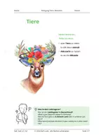 Vorschau - Arbeitsblätter - Festigung Tiere, Akkusativ, A1.1-A1.2 - Deckblatt
