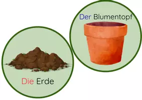 Vorschau - Bildkarten - Wir pflanzen Sonnenblumen an! - Seite 2