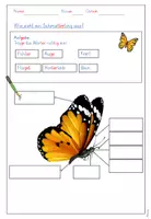 Vorschau - Arbeitsblätter - Schmetterling: Körperbau (Bild- und Wortkarten) - Seite 2