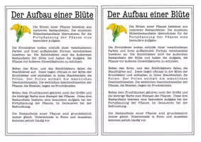 Vorschau - Arbeitsblätter - Aufbau einer Blüte Arbeitsblatt Klasse 5–7 – Blütenaufbau einfach erklärt (Biologie, mit Lösungen) - Seite 1