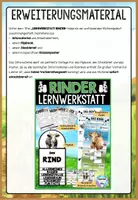 Vorschau - Arbeitsblätter - Rinder - Kuh Infomaterial & Arbeitsblätter | Nutztiere bzw. Säugetiere 2-seitige Textpassage mit Markierungen - Seite 3