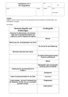 Vorschau - Test - 8 Vokabeltests für Medizinische Fachangestellte LF3 - Deckblatt