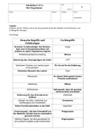 Vorschau - Test - 8 Vokabeltests für Medizinische Fachangestellte LF3 - Seite 1