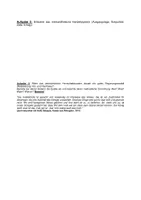 Vorschau - Test - Test Absolutismus - Seite 1