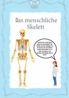 Vorschau - Arbeitsblätter - Unser Körper: Das menschliche Skelett - Knochen, Gelenke... - Seite 1