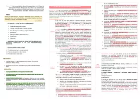 Vista previa - Para docentes: organización, planificación y formación - Oposiciones Pedagogía Terapéutica: Esquema tema 13 - página 1