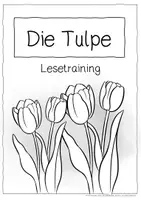 Vorschau - Arbeitsblätter - Lesetraining/Leseförderung - Die Tulpe (Klasse 2) - Seite 2
