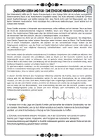 Vorschau - Arbeitsblätter - Organspende - Hirntod, klinischer Tod und biologischer Tod ; Dilemma mit Lösung (Klasse 8/9/10) - Seite 3