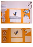 Vorschau - Arbeitsblätter - Vögel - Lapbook und Arbeitsblätter mit Lösung - Seite 3