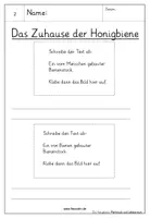 Vorschau - Arbeitsblätter - Bienen-Abschreibheft mit Bildern zum Aufkleben - Seite 3