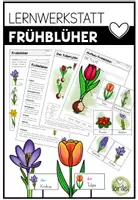 Vorschau - Arbeitsblätter - Frühblüher - Lernwerkstatt - Gesamtpaket - Deckblatt