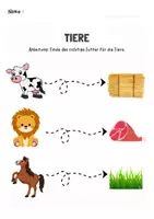 Vorschau - Arbeitsblätter - Arbeitsblätter Tiere, Tiere erkennen, Tierfutter bestimmen, Tierlaute zuordnen - Seite 2