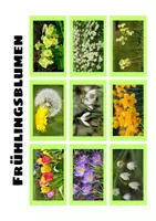 Vorschau - Spiele - Materialpaket DaZ Frühlingsblumen - Seite 3