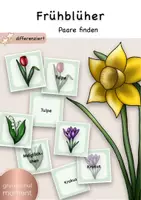 Vorschau - Spiele - Frühblüher Paare finden / Lernspiel / Zuordnung - Deckblatt