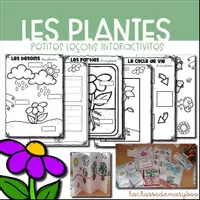 Aperçu - Feuilles d'exercices - Les plantes - Petites leçons interactives - Page de couverture