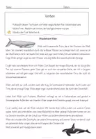 Vorschau - Arbeitsblätter - Verben konjugieren - Fehlertext - Seite 1