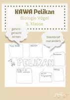 Vorschau - Arbeitsblätter - Steckbrief KAWA Pelikan: Vögel Biologie - Deckblatt