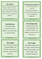 Vorschau - Text - Schmetterling - Wissenskarten für Leseanfänger -Silbenschrift - Seite 2