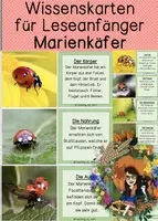Vorschau - Text - Marienkäfer - Differenzierte Wissenskarten für Leseanfänger - Silbenschrift - Deckblatt