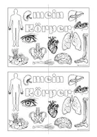 Vorschau - Mal- und Bastelvorlagen - mein Körper - Lapbook - Seite 1