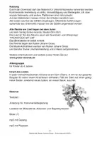 Vorschau - Arbeitsblätter - Kirschen Essen - Kirschkern - Lied - RJ Gross - Seite 2