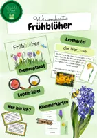 Vorschau - Stationenlernen - Wissenskartei Frühblüher - Deckblatt