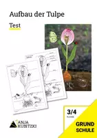 Vorschau - Test - Aufbau der Tulpe - Frühling, Sachunterricht, Biologie Test - Deckblatt