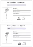 Vorschau - Arbeitsblätter - Arbeitsmappe Frühblüher - Seite 3
