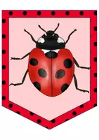 Vorschau - Poster - Wimpel - Marienkäfer - Deckblatt