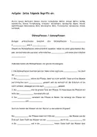 Vorschau - Arbeitsblätter - Arbeitsblatt zum Thema „Blütenpflanzen/Samenpflanzen“ - Deckblatt
