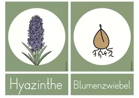 Vorschau - Bildkarten - Frühblüher - Wortspeicher Tafelkarten - Seite 3