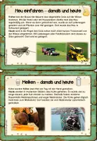 Vorschau - Text - Die Arbeit auf dem Bauernhof - früher und heute (Karteikarten) - Seite 2