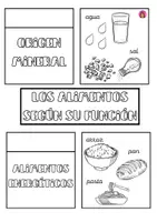 Vista previa - Unidades / Secuencias / Situaciones de Aprendizaje - Lapbook sobre la Salud - página 2