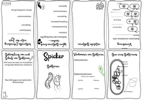 Vorschau - Arbeitsblätter - Spicker/Minibuch Bakterien - Seite 1